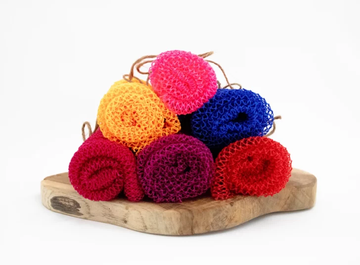 eponge Eponge Binguiste Djampé